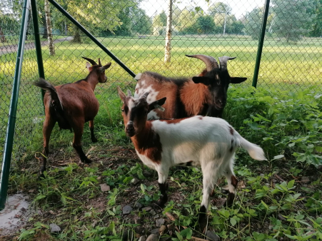 img-20250625-wa0008 (1)