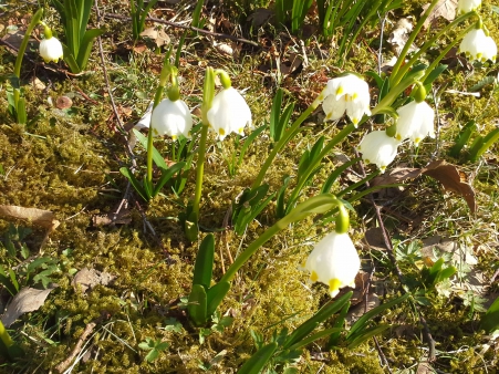 spirituální péče