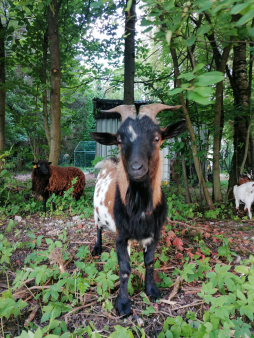 img-20250625-wa0005 (1)