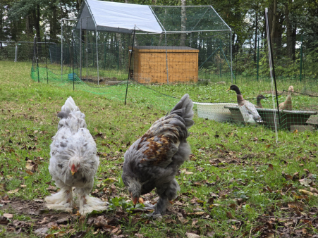 790cac91dfca6c5f497b2b0d381acda2