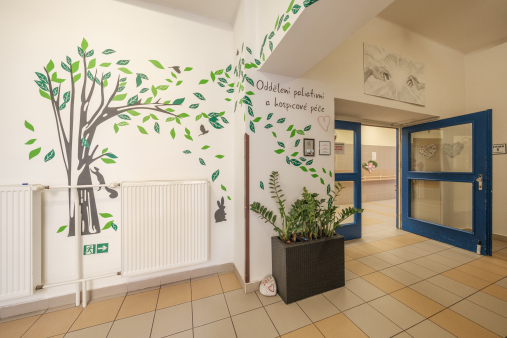 albertinum žamberk - paliativa (14 of 27)