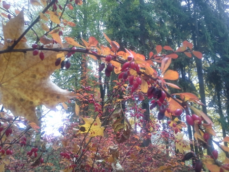 občerstvení u neratovských 4