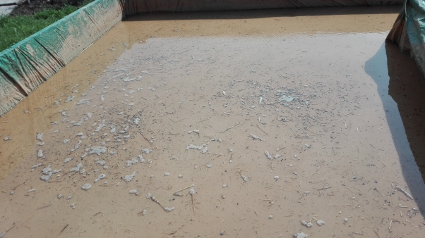 obnova zahradnictví 1